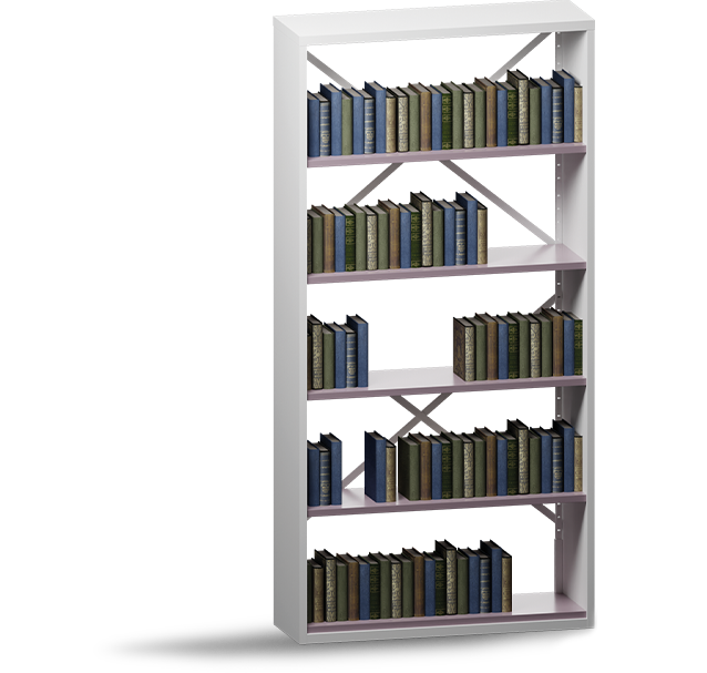 shelves2